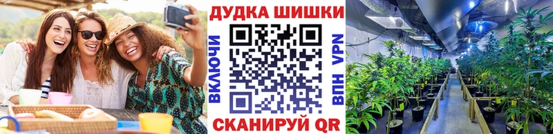Купить закладки  Новая Усмань  Шишки марихуана планчик 